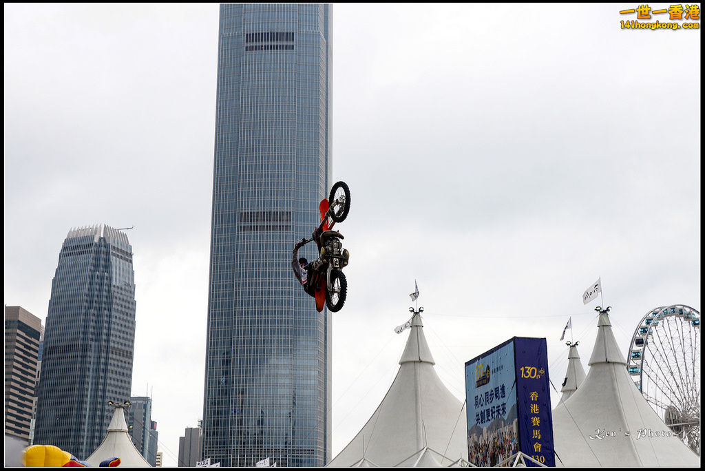 20150403Bull X 1054.jpg