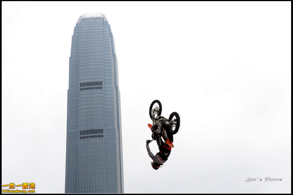 20150403Bull X 1055.jpg