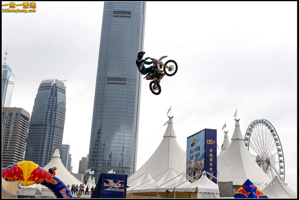 20150403Bull X 1058.jpg