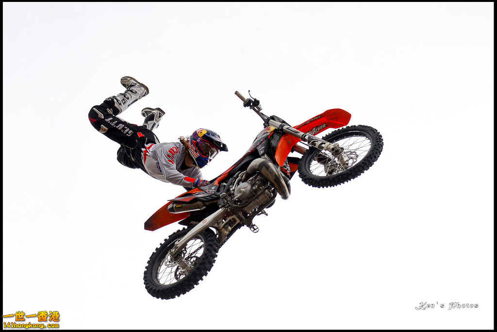 20150403Bull X 1059.jpg
