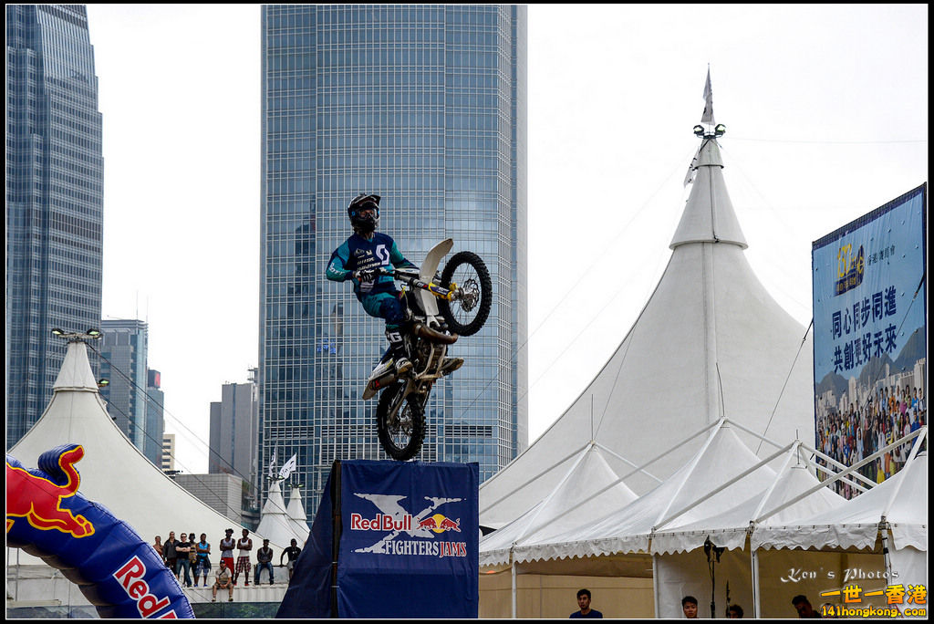 20150403Bull X 1061.jpg