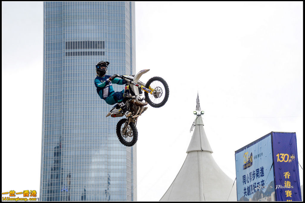 20150403Bull X 1062.jpg