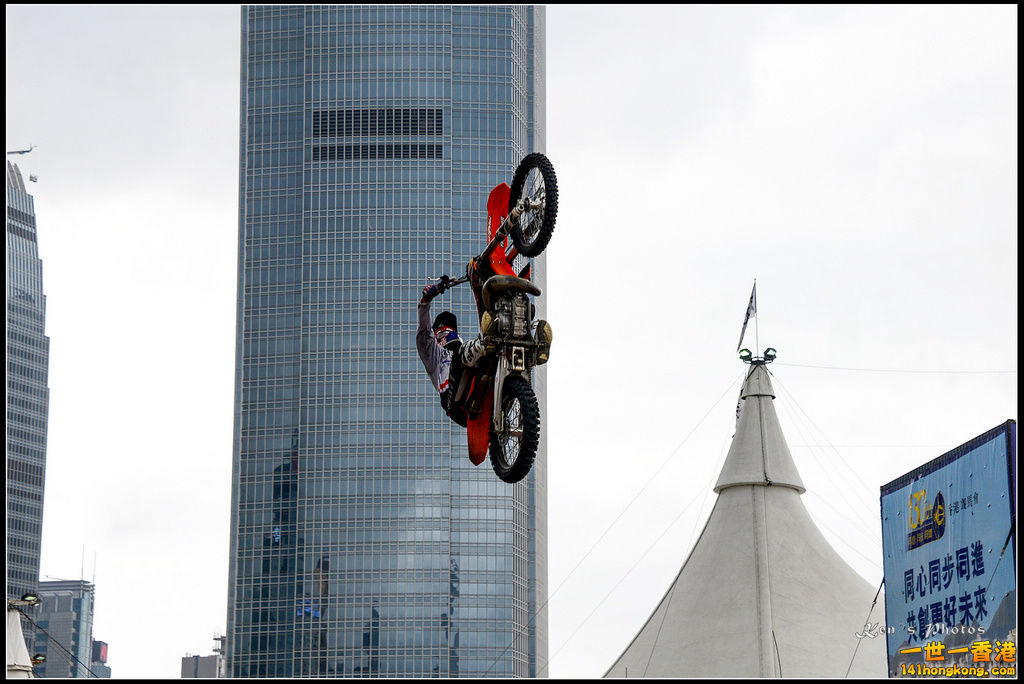 20150403Bull X 1064.jpg