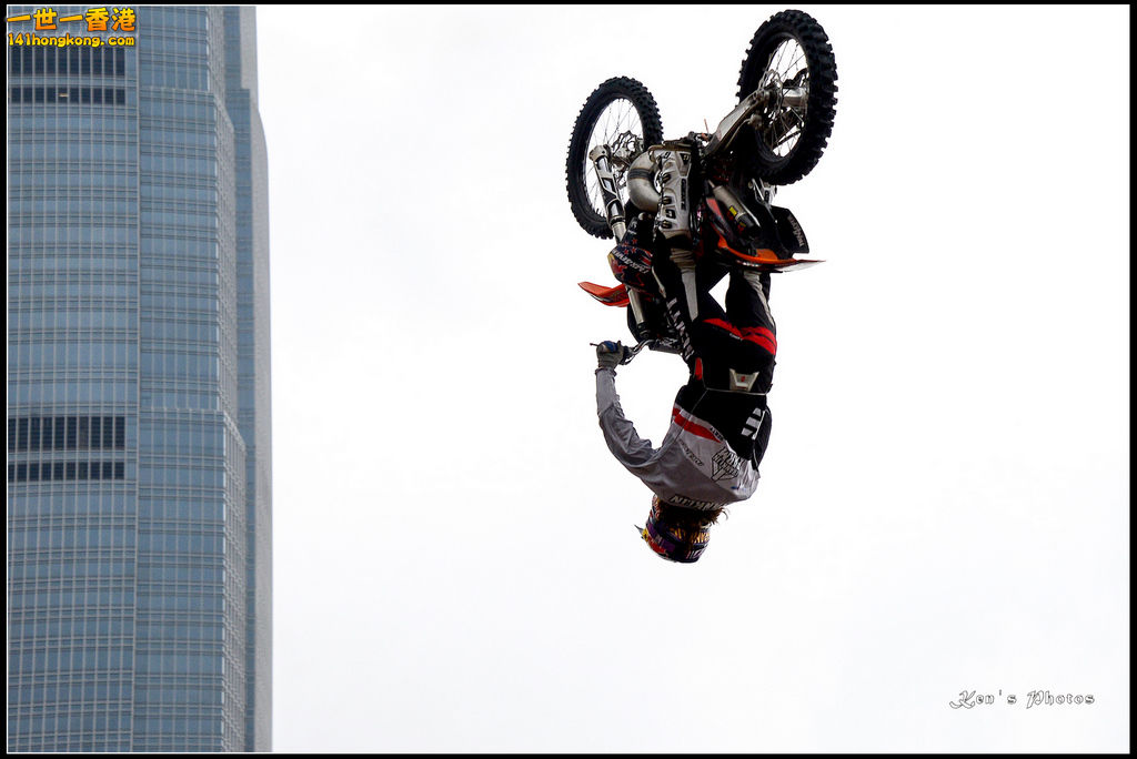 20150403Bull X 1065.jpg