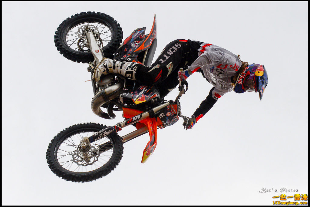 20150403Bull X 1066.jpg