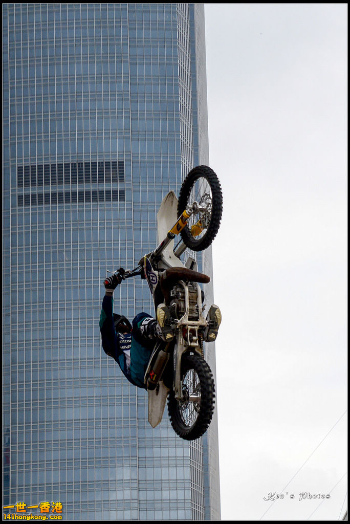 20150403Bull X 1067.jpg