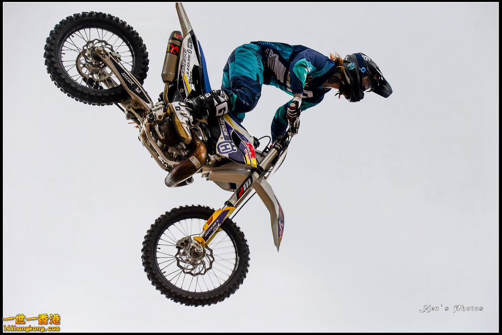 20150403Bull X 1073.jpg
