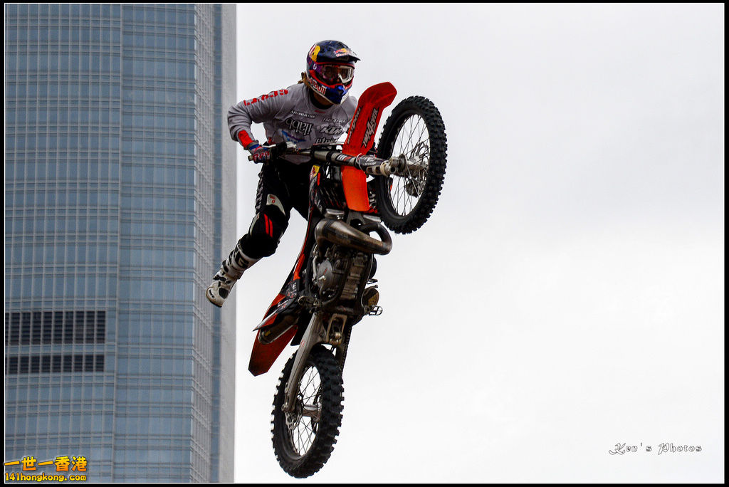 20150403Bull X 1075.jpg