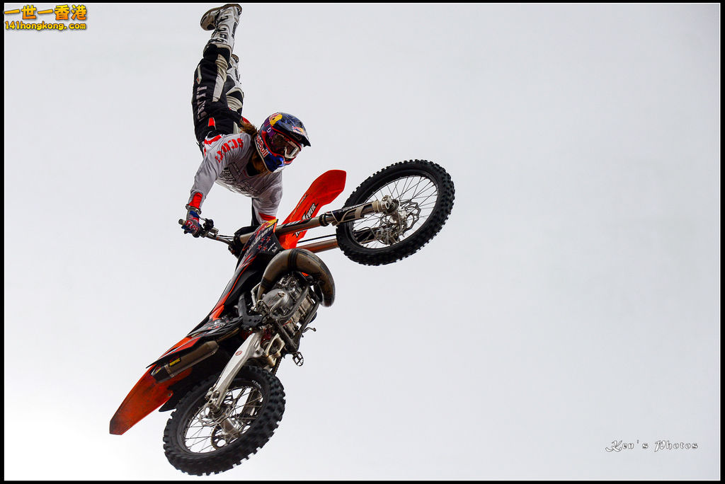 20150403Bull X 1077.jpg