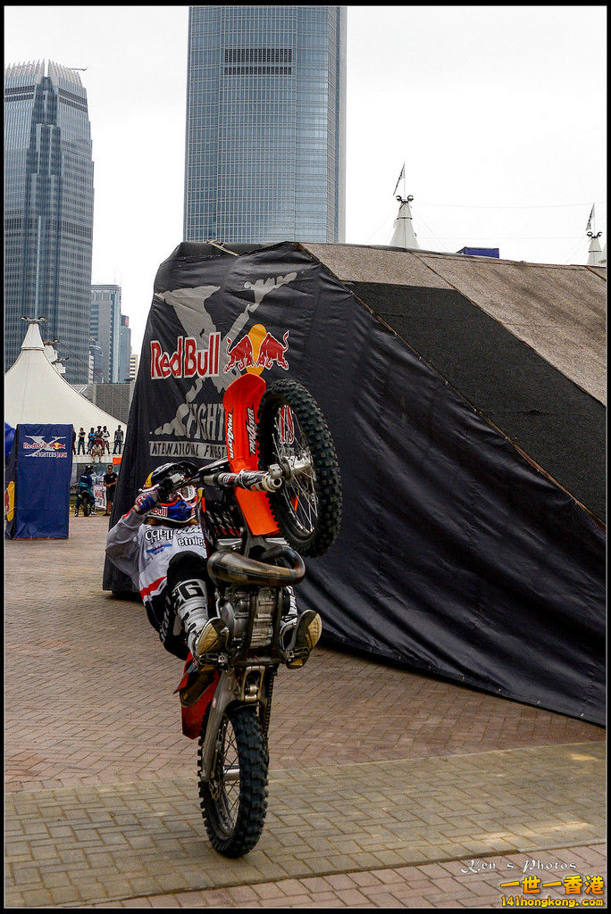 20150403Bull X 1078.jpg