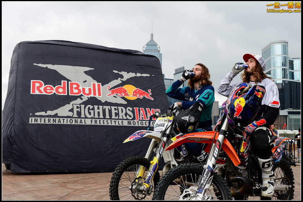 20150403Bull X 1086.jpg