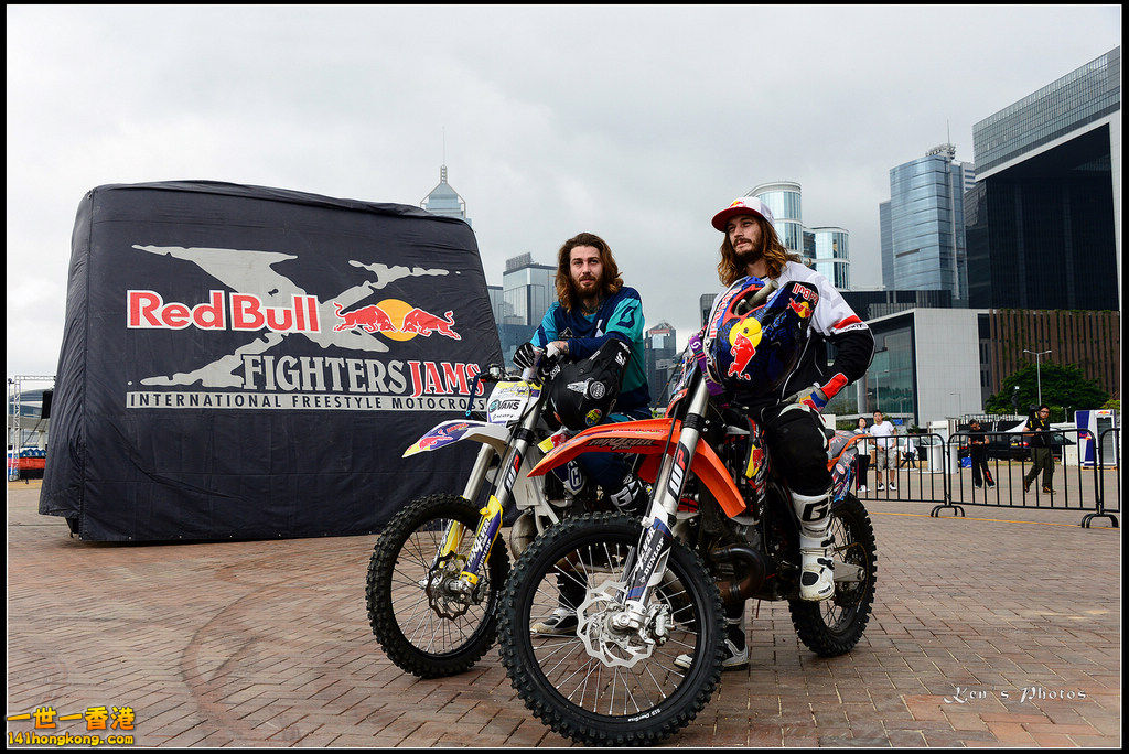 20150403Bull X 1087.jpg