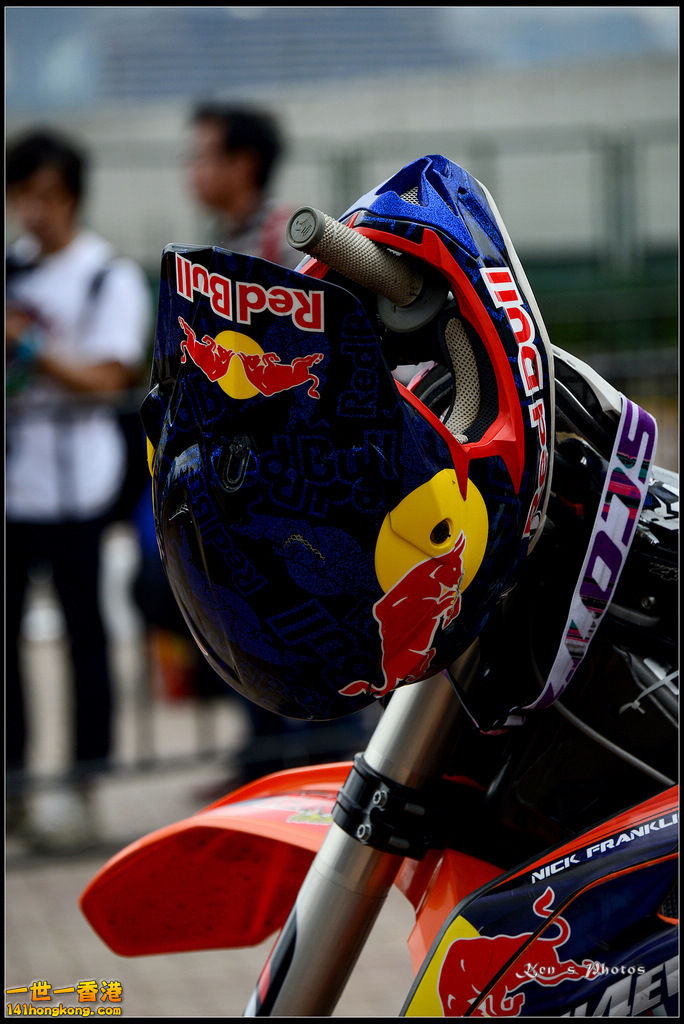 20150403Bull X 1089.jpg
