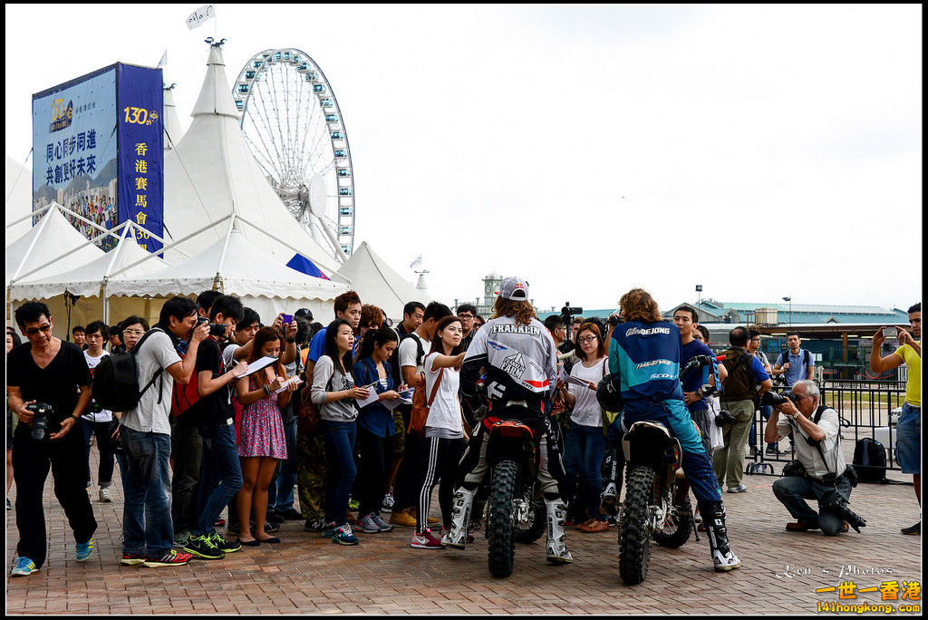 20150403Bull X 1094.jpg