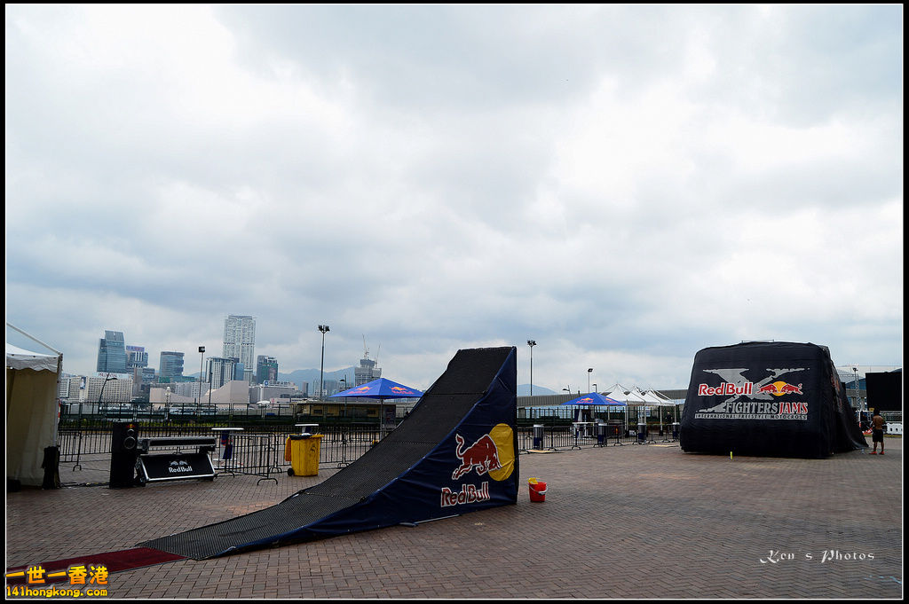 20150403Bull X 1096.jpg