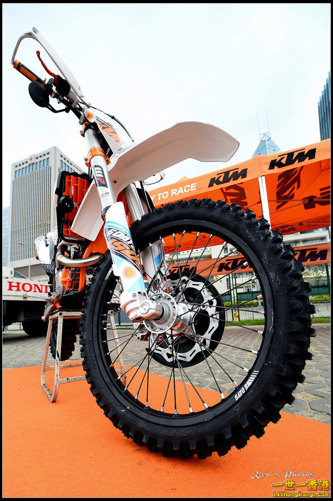 20150403Bull X 1097.jpg