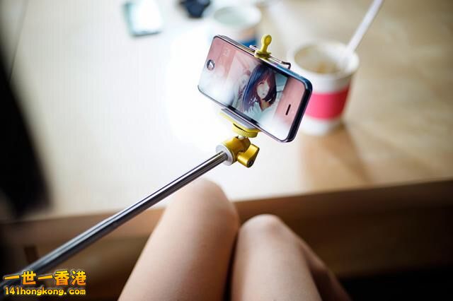 2015年給先人的祭品