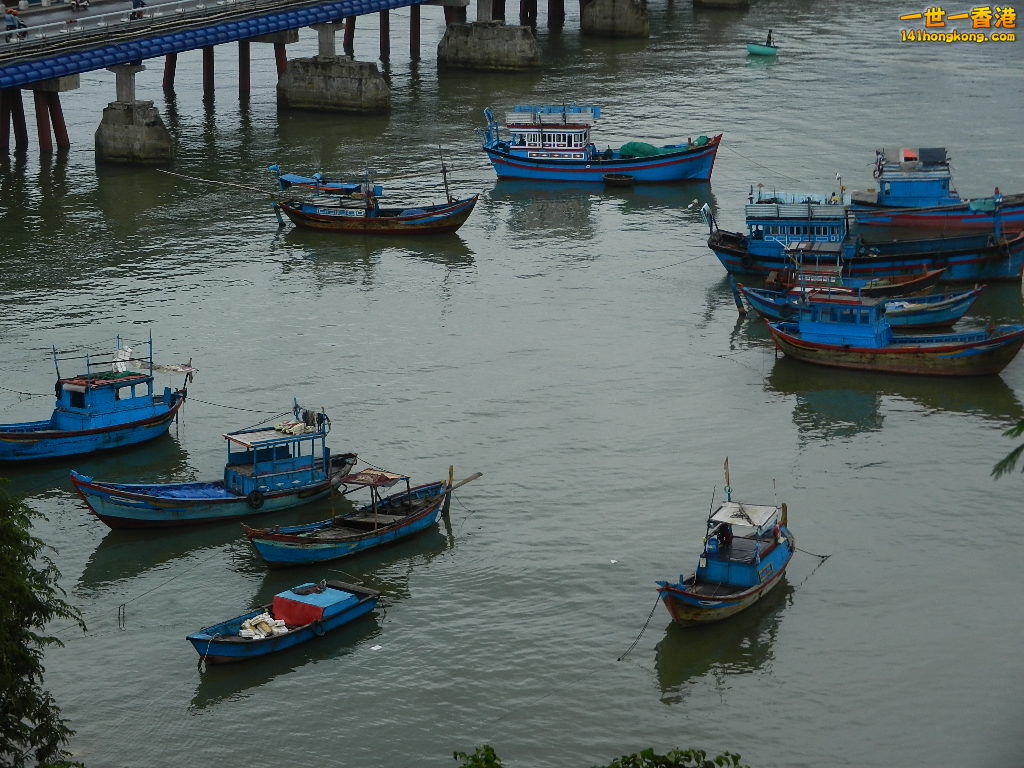 DSCN4986.JPG