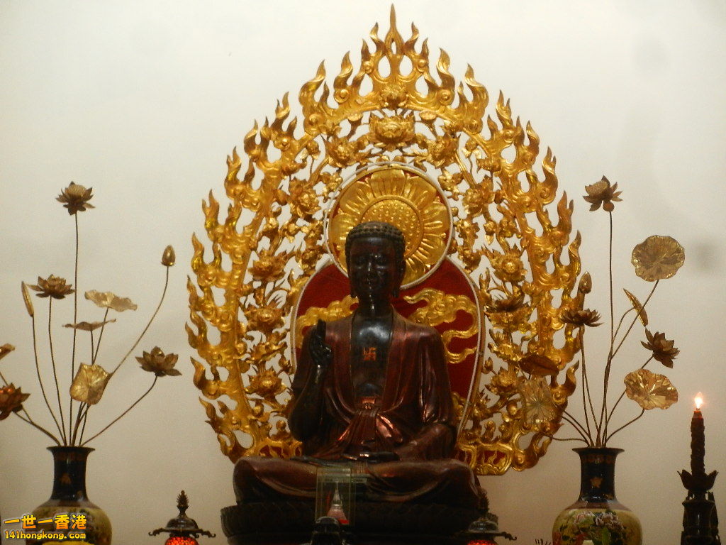 DSCN4909.JPG