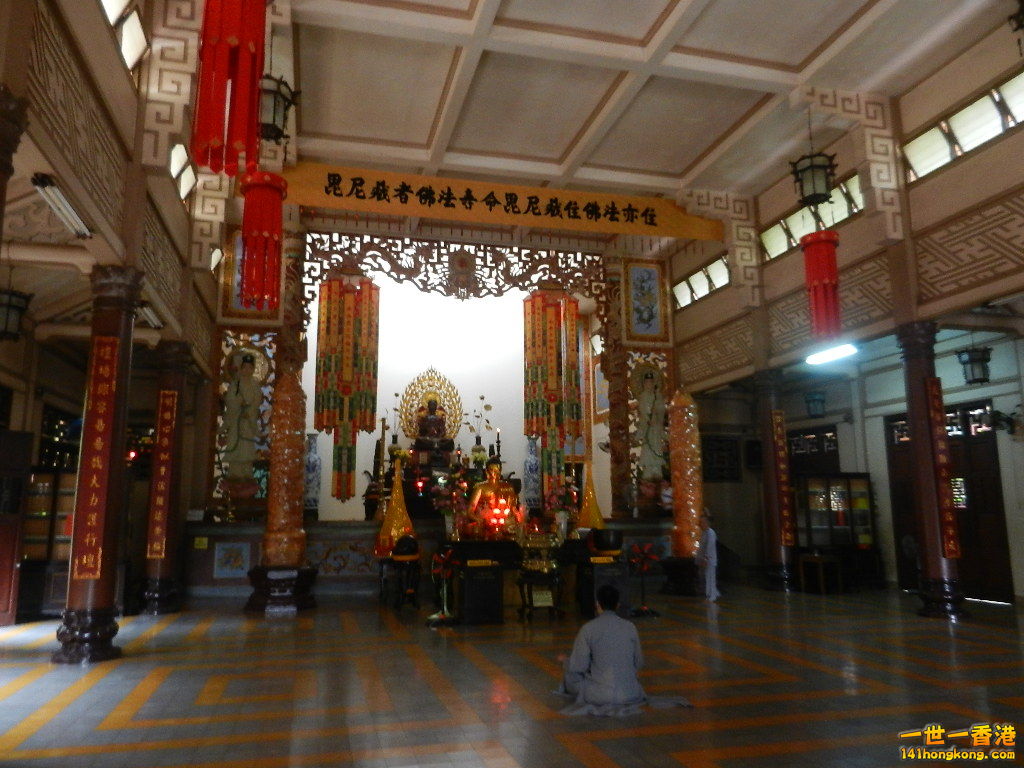 DSCN4905.JPG