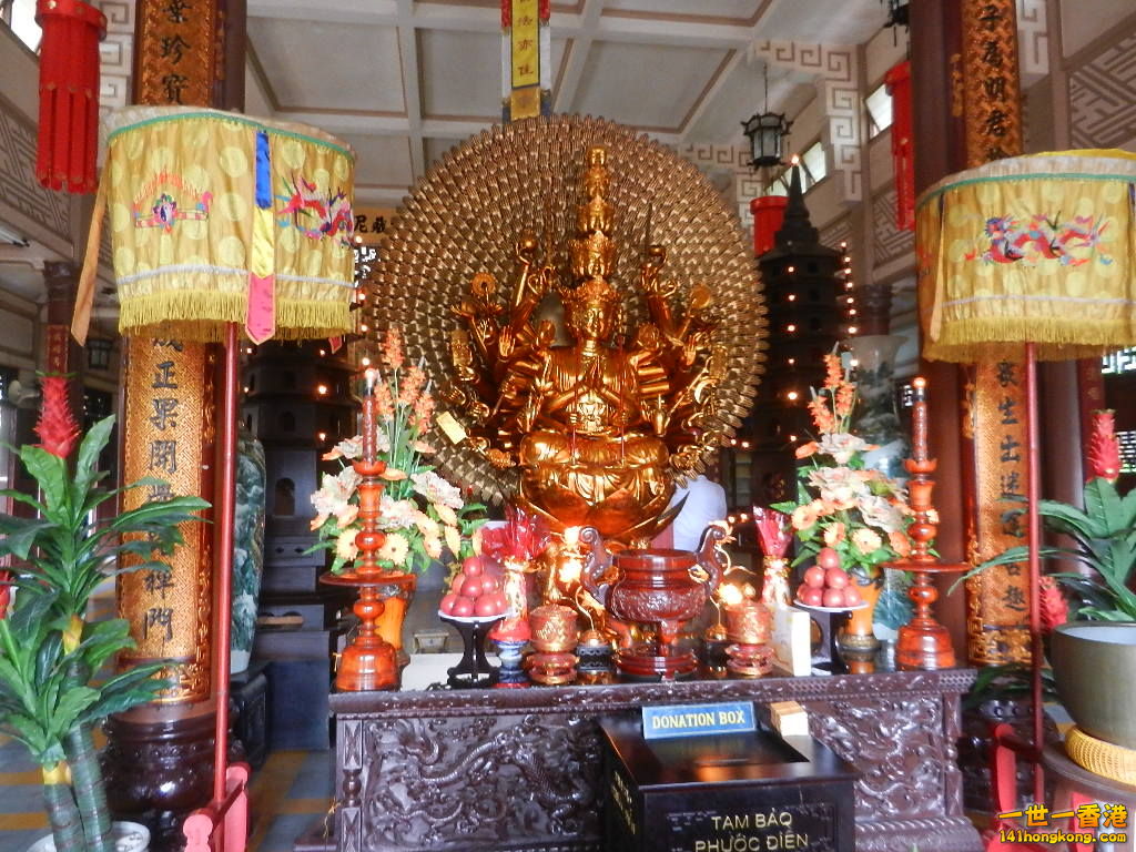 DSCN4910.JPG
