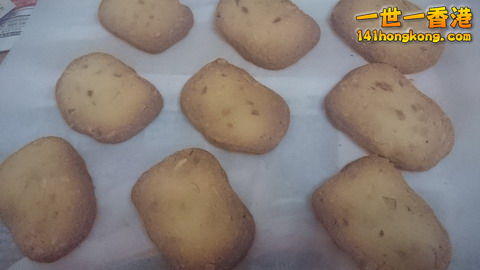 DSC_0131_大小 .JPG