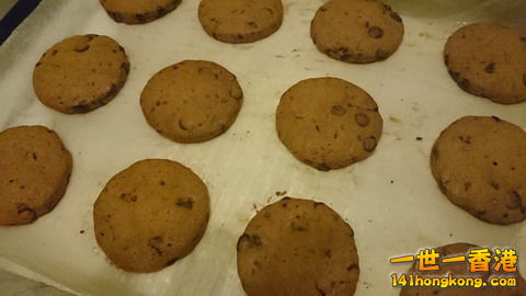 DSC_0155_大小 .JPG