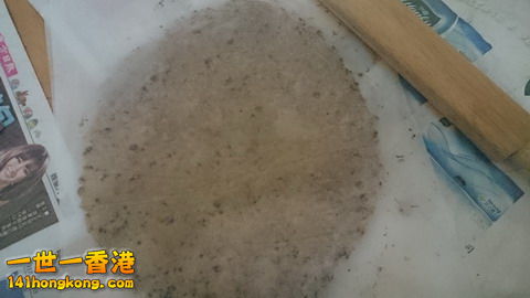 DSC_0126_大小 .JPG