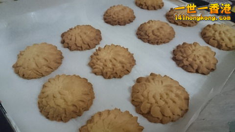 DSC_0152_大小 .JPG