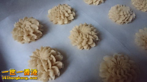 DSC_0151_大小 .JPG