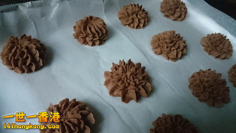 DSC_0147_大小 .JPG