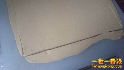 DSC_0157_大小 .JPG