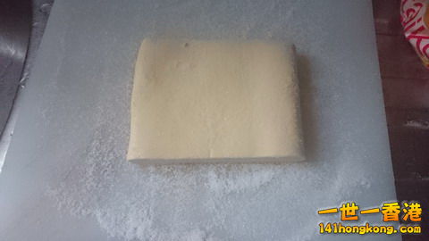 DSC_0156_大小 .JPG