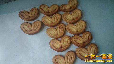 DSC_0164_大小 .JPG