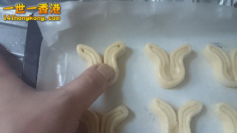 DSC_0163_大小 .JPG