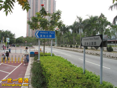 Wetland_Park_Road_3.JPG