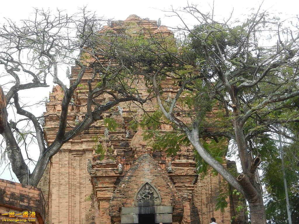 DSCN4949.JPG