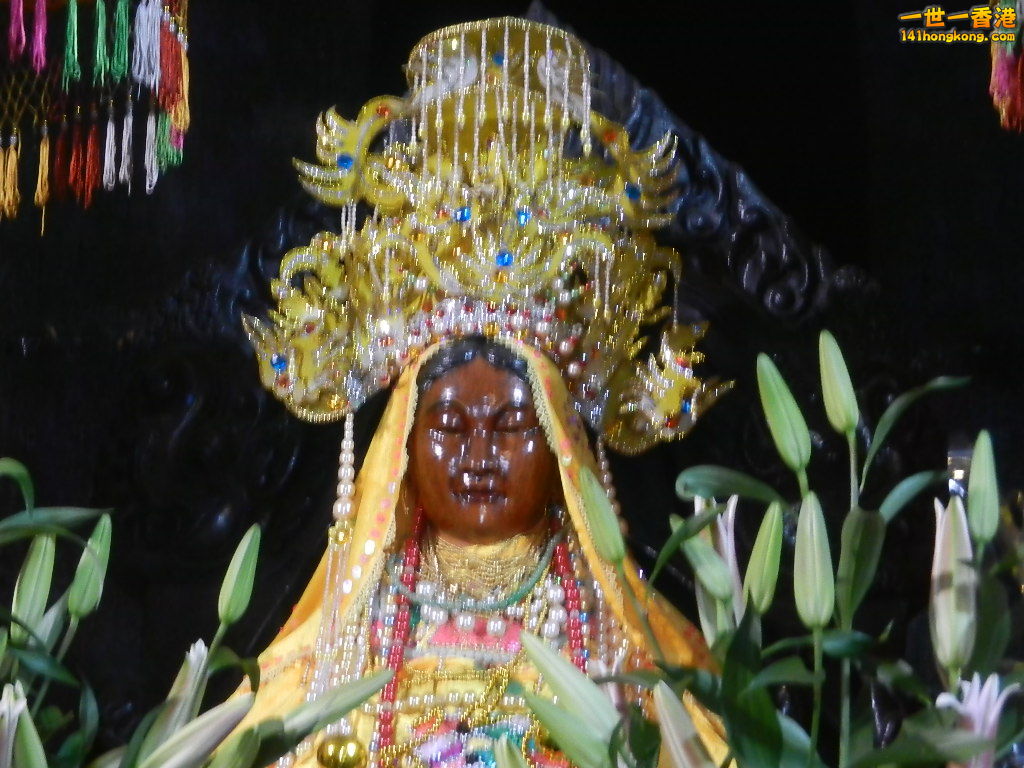 DSCN4966.JPG