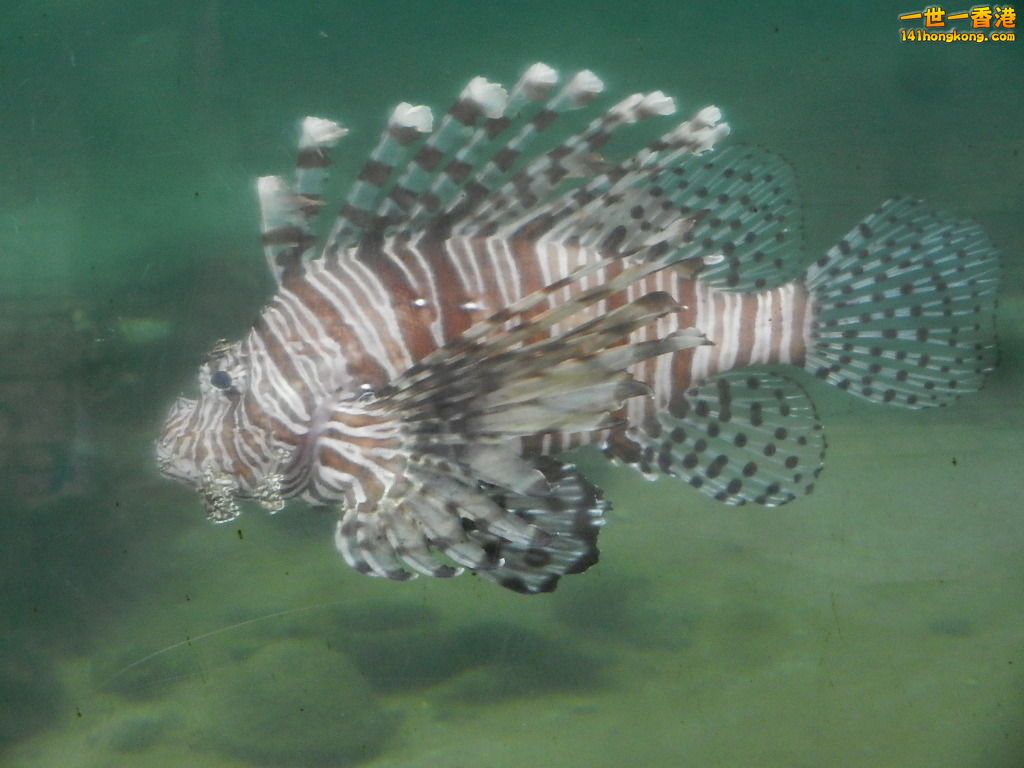 DSCN5012.JPG
