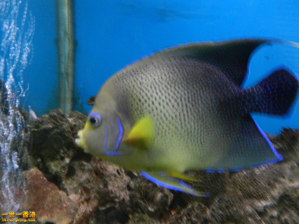 DSCN5021.JPG