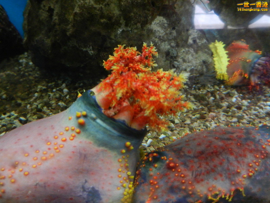 DSCN5023.JPG