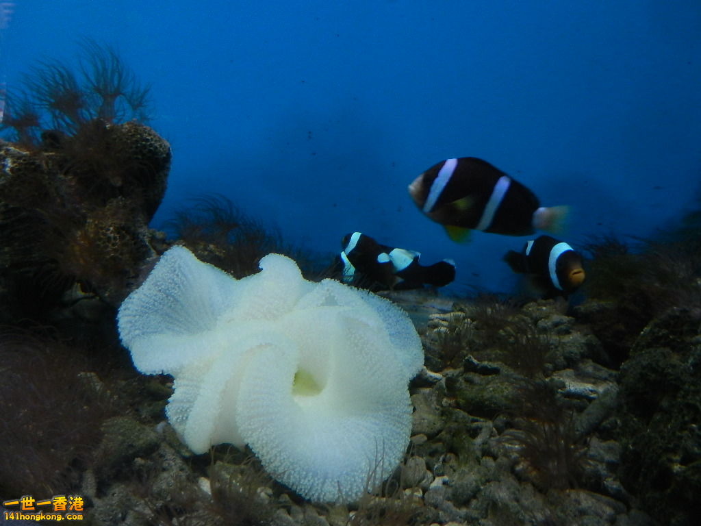 DSCN5024.JPG