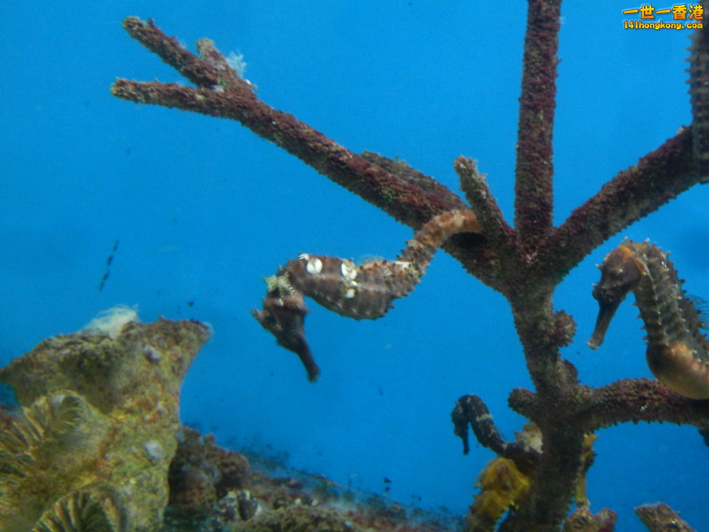 DSCN5028.JPG