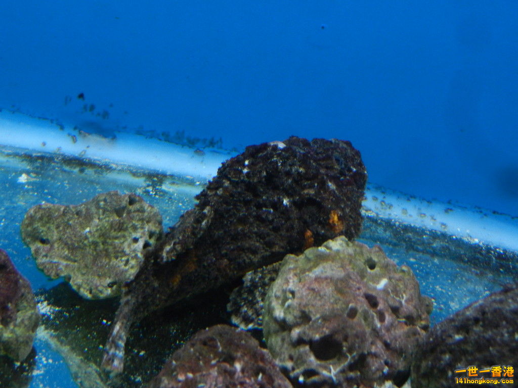 DSCN5030.JPG