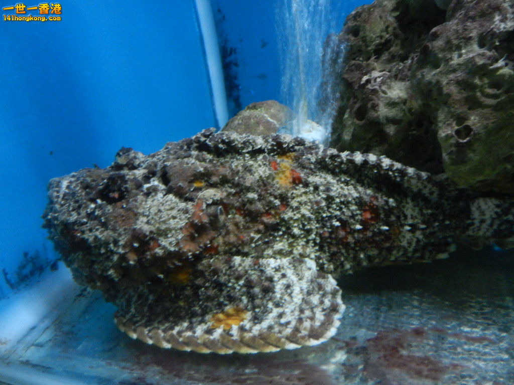 DSCN5029.JPG