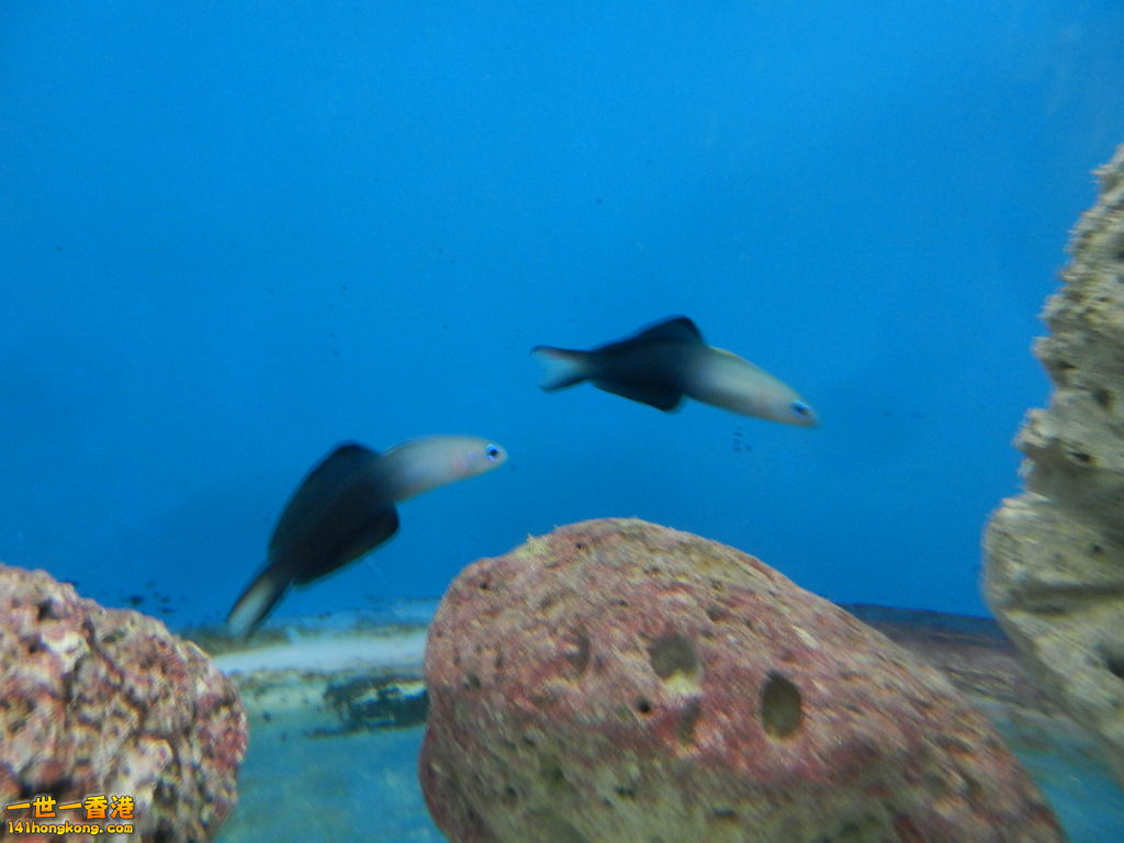 DSCN5034.JPG