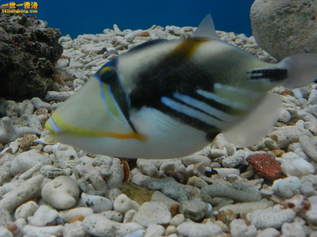 DSCN5037.JPG