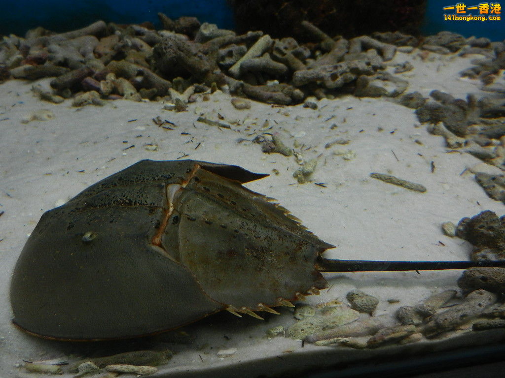 DSCN5033.JPG