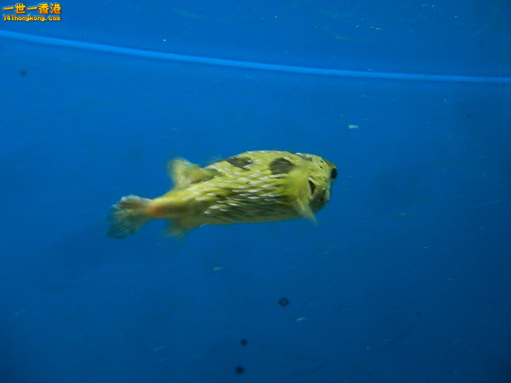 DSCN5044.JPG