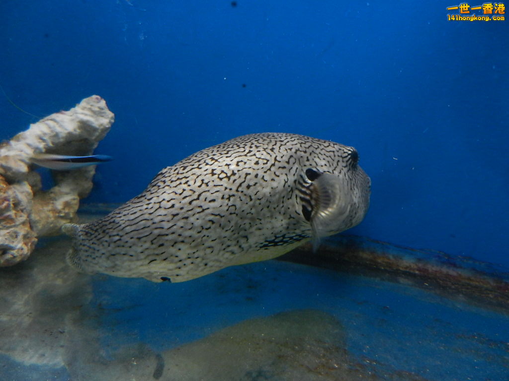 DSCN5045.JPG
